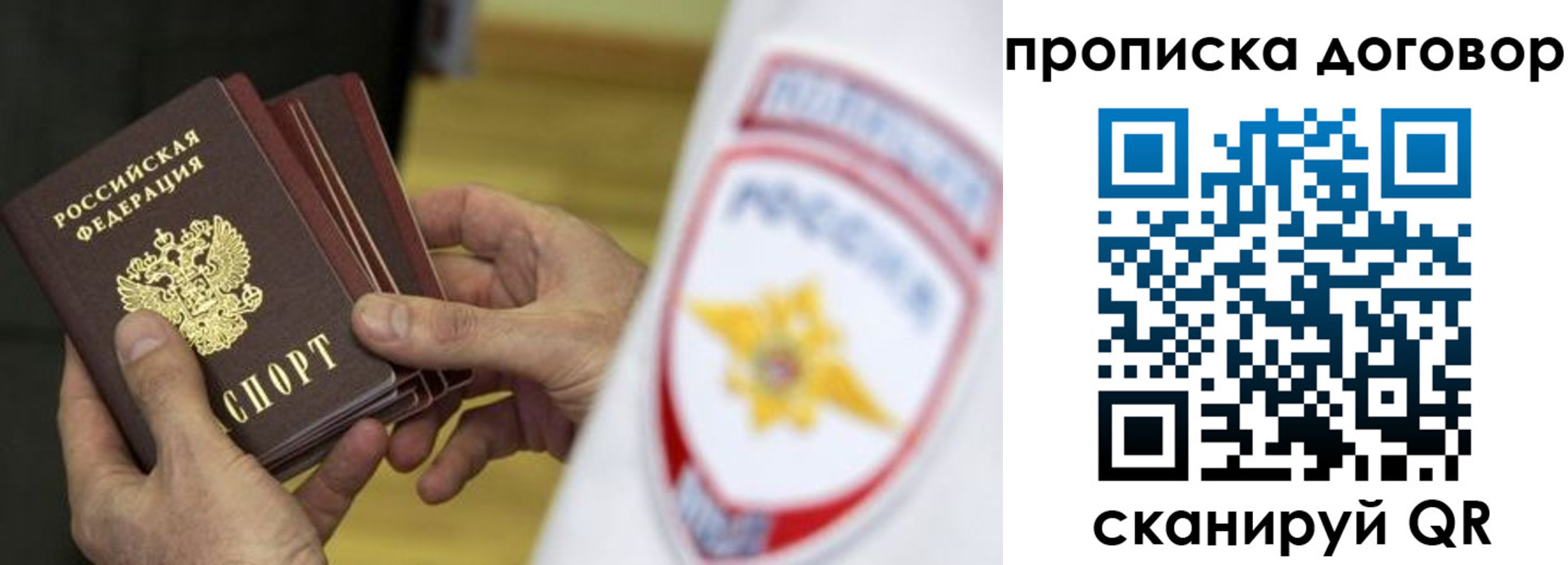 пропишу в квартире в Светлогорске